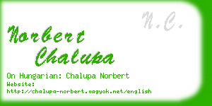 norbert chalupa business card